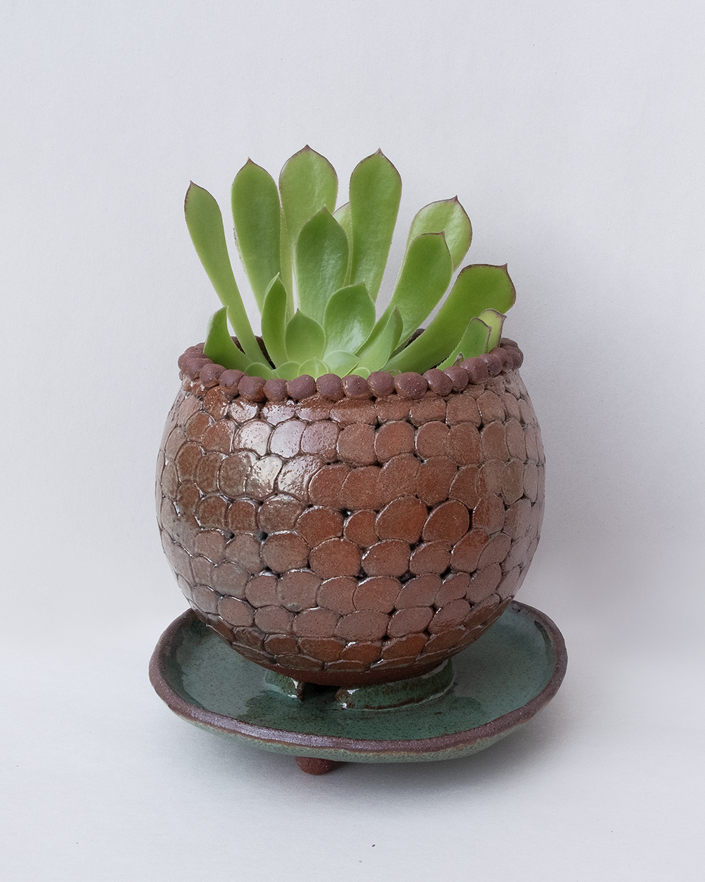planter_balls