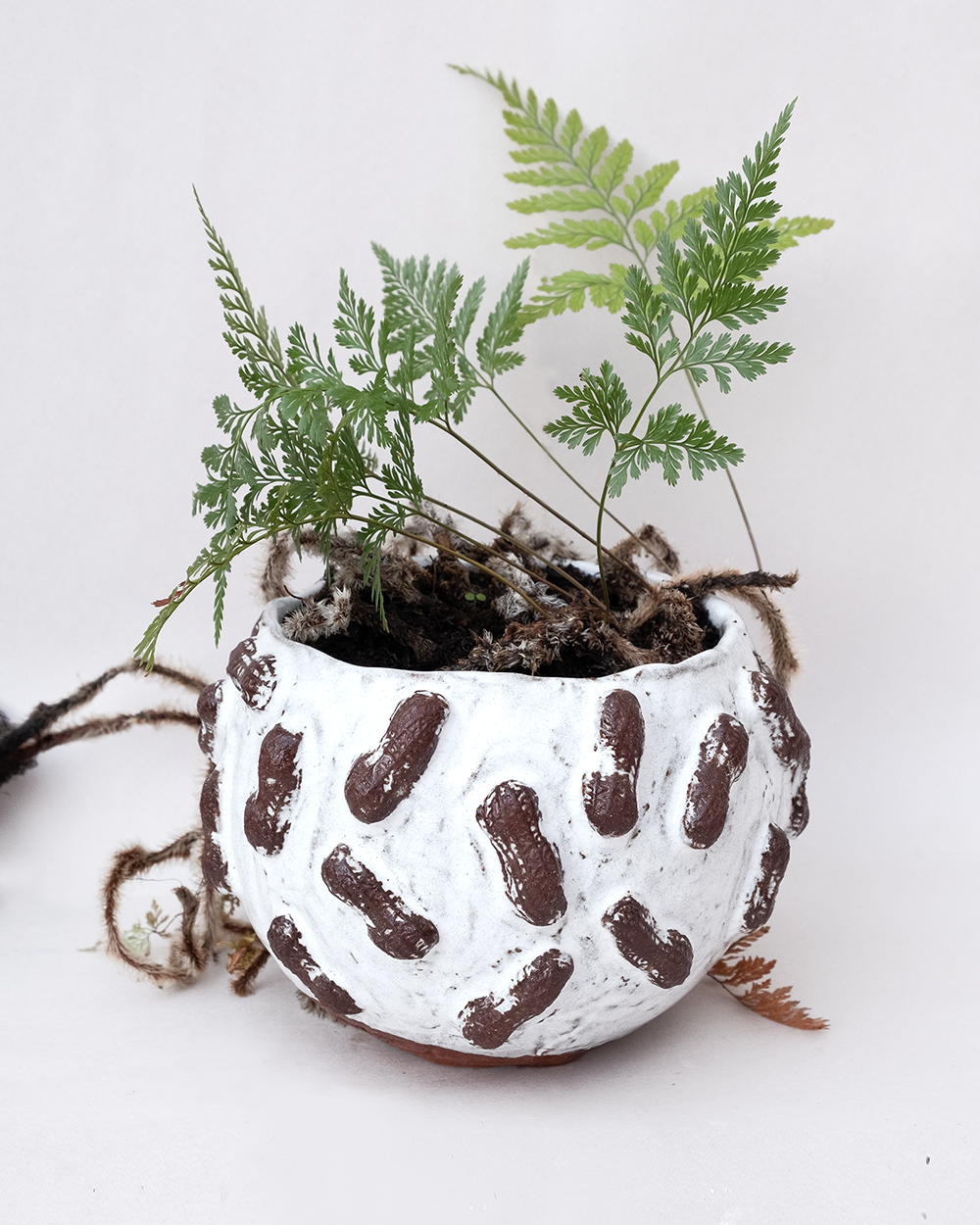 planter_peanuts