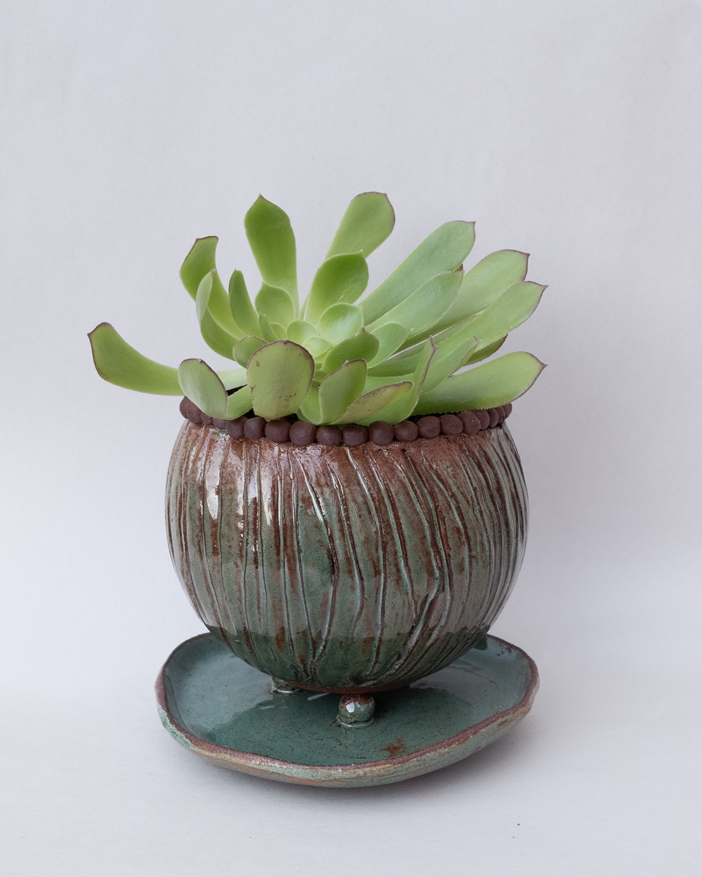 strips_planter